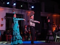 1780991444_elf-sevilla-336.jpg